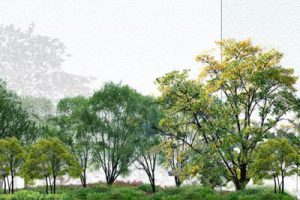 佛山创鸿水韵尚都景观扩初设计