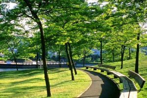 钱资湖景观概念规划设计