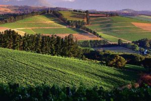 沈阳中海城景观概念设计（法式风格）