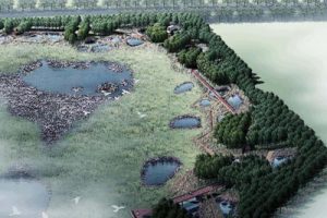 哈尔滨群力新区生态湿地公园景观方案设计
