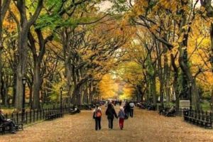 上海中心大厦景观设计方案