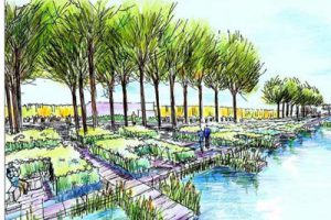 济宁中央公园及道路水系景观规划设计