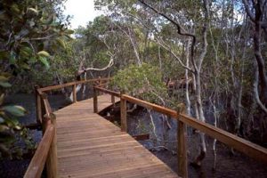 东部华侨城（盐田）生态旅游区入口详细规划