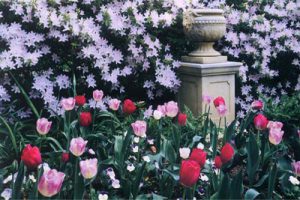 宁波广洋海尚景观方案设计（新古典风格）