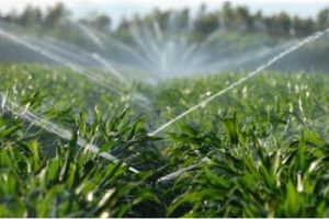 武当山太极湖生态文化旅游区景观规划