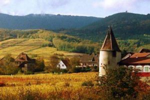 兴隆乐苑概念规划阶段性汇报