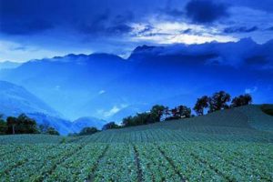 南京汤泉农场概念规划初步设计