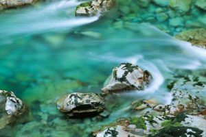 西溪湿地国际城市综合体概念规划