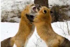 张家口市下花园区城市风貌设计