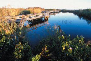 广州南沙滨海湿地公园总体概念规划