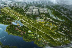 合肥市中央公园（山水林田湖草城）总体规划设计