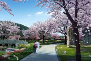 成都龙泉山城市森林公园总体规划