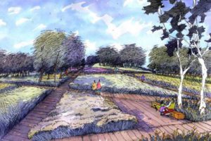 青岛平度国家森林公园策划及总体规划设计