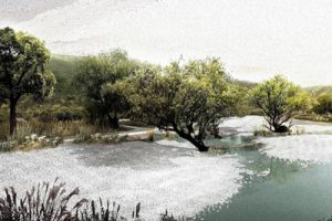 无锡白石里节点郊野公园景观设计方案