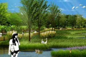 福建东生态公园景观工程