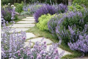 西安汉溪湖公园景观方案设计