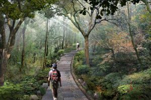 临安吴越文化公园景观工程初步设计文本