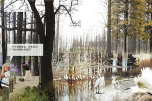 上海合庆郊野公园方案设计