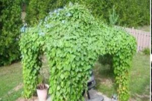 成都市公园规划设计导则