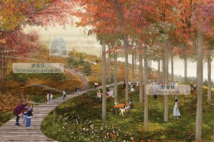 济南黄河公园（国家级湿地）概念方案（SOM）