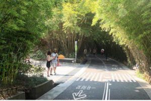 成都大熊猫繁育研究基地景观设计