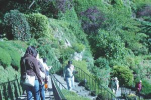 深圳安托山博物公园景观设计