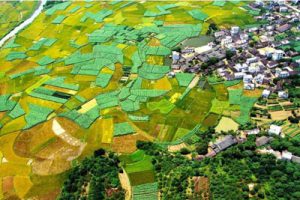 田园东方田园综合体商业模式介绍