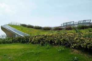 中新天津生态城城市设计