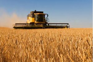 佛山海峡两岸创意农业城规划设计总体规划