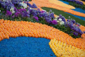 广西河池红水河谷田园综合体总体规划