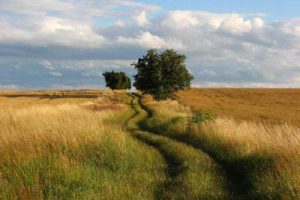 江苏镇江创新农业示范园总体规划