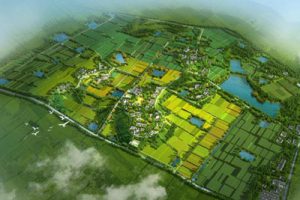 仪征市月塘镇石庄村特色田园乡村规划