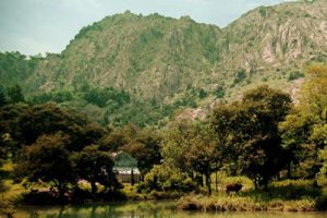 青岛藏马山乡村国际生态旅游区总体规划