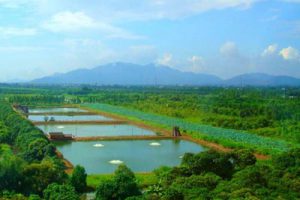 海上田园旅游区总体策划及概念性规划