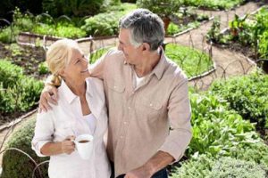 秦皇岛市戴河田园综合体概念性规划