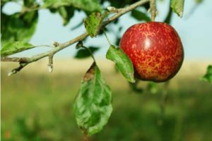 淮北生态城市总体规划与煤田塌陷区修复规划