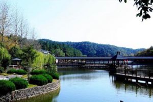 田园综合体项目落地