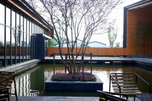 田园东方-田园综合体商业模式