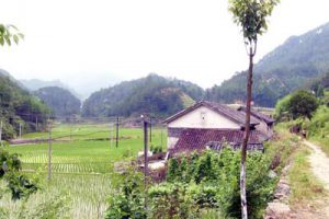 温州市文成隐山湖生态农业观光旅游概念性规划