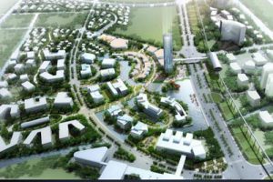 卓达.中国新农村产业建设示范区整体开发项目策划前期研究