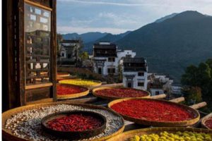 甘肃天水南山云端田园综合体策划及概念规划