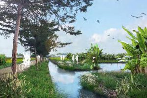 中国（安徽）休闲农业博览园概念性规划及核心区修建性详细规划