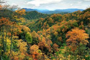 成都三星镇仙女山“天府田园”田园综合体项目策划