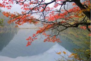 山东菜芜雪野生态旅游度假区概念规划