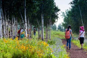 盐东镇艳阳村乡村振兴建设规划
