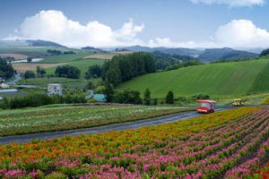 鹤壁森林公园暨示范区概念规划