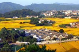 大鹏生态创意农业观光园区概念性规划