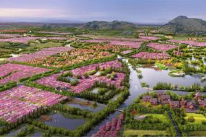 无锡阳山东方田园综合体总体规划