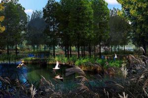 四川成都立体城市农业景观带概念性总体规划