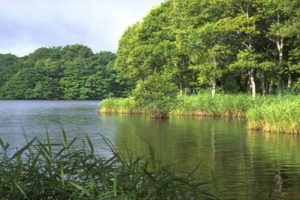 凤凰岛生态度假区概念规划